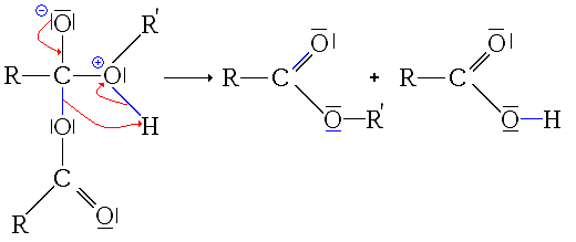 File:Esterification anhydride d'acide2 - élimination de RCOOH.GIF