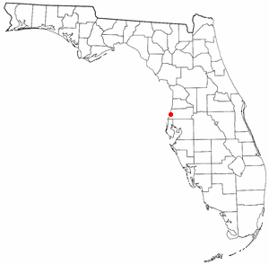 Loko di New Port Richey, Florida