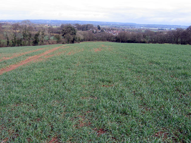 File:Farmland in West Clyst north of Exeter - geograph.org.uk - 725006.jpg