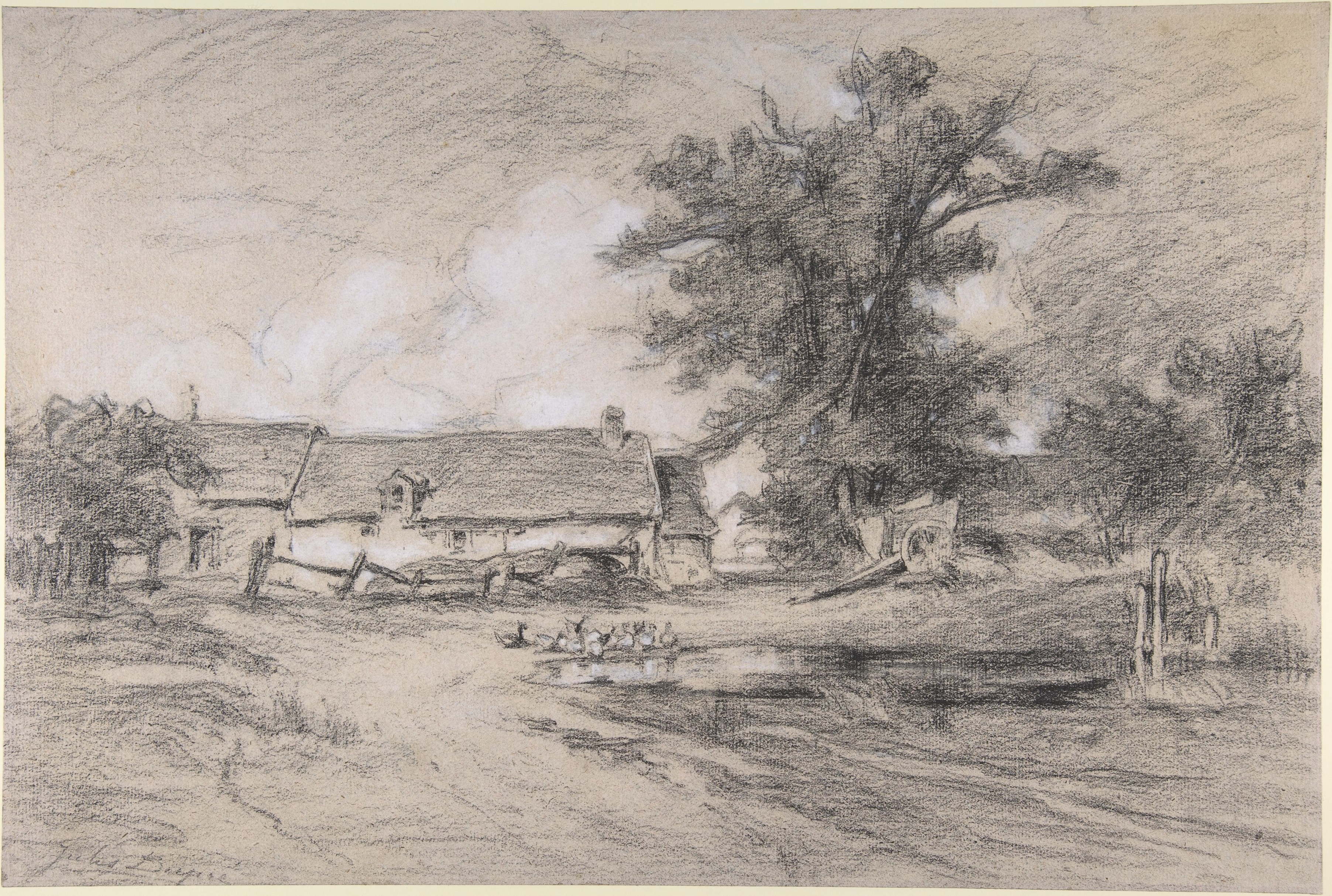 Farmyard Charcoal