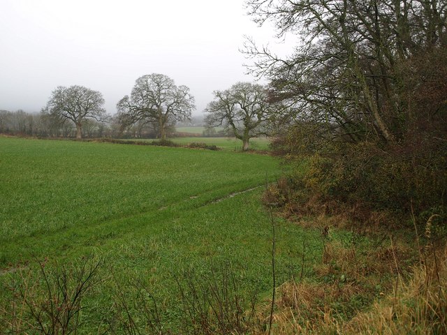 File:Field and trees near Staple Fitzpaine - geograph.org.uk - 1617075.jpg