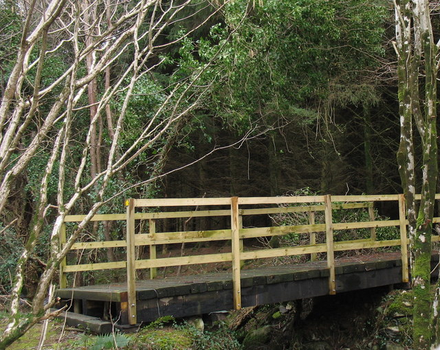 File:Footbridge over Afon Hen in the Cwm-gwared Plantation - geograph.org.uk - 344913.jpg