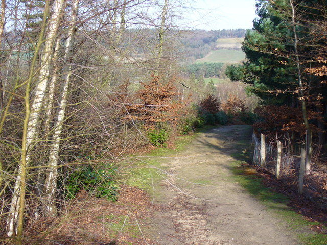 Footpath, Albury Park - geograph.org.uk - 669401