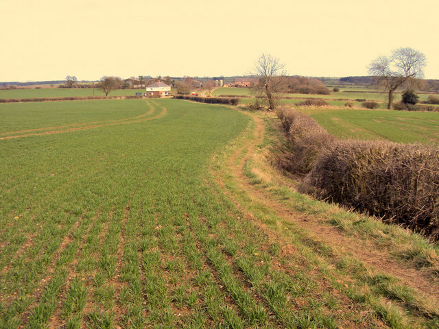 File:Footpath to Campville House - geograph.org.uk - 1776453.jpg