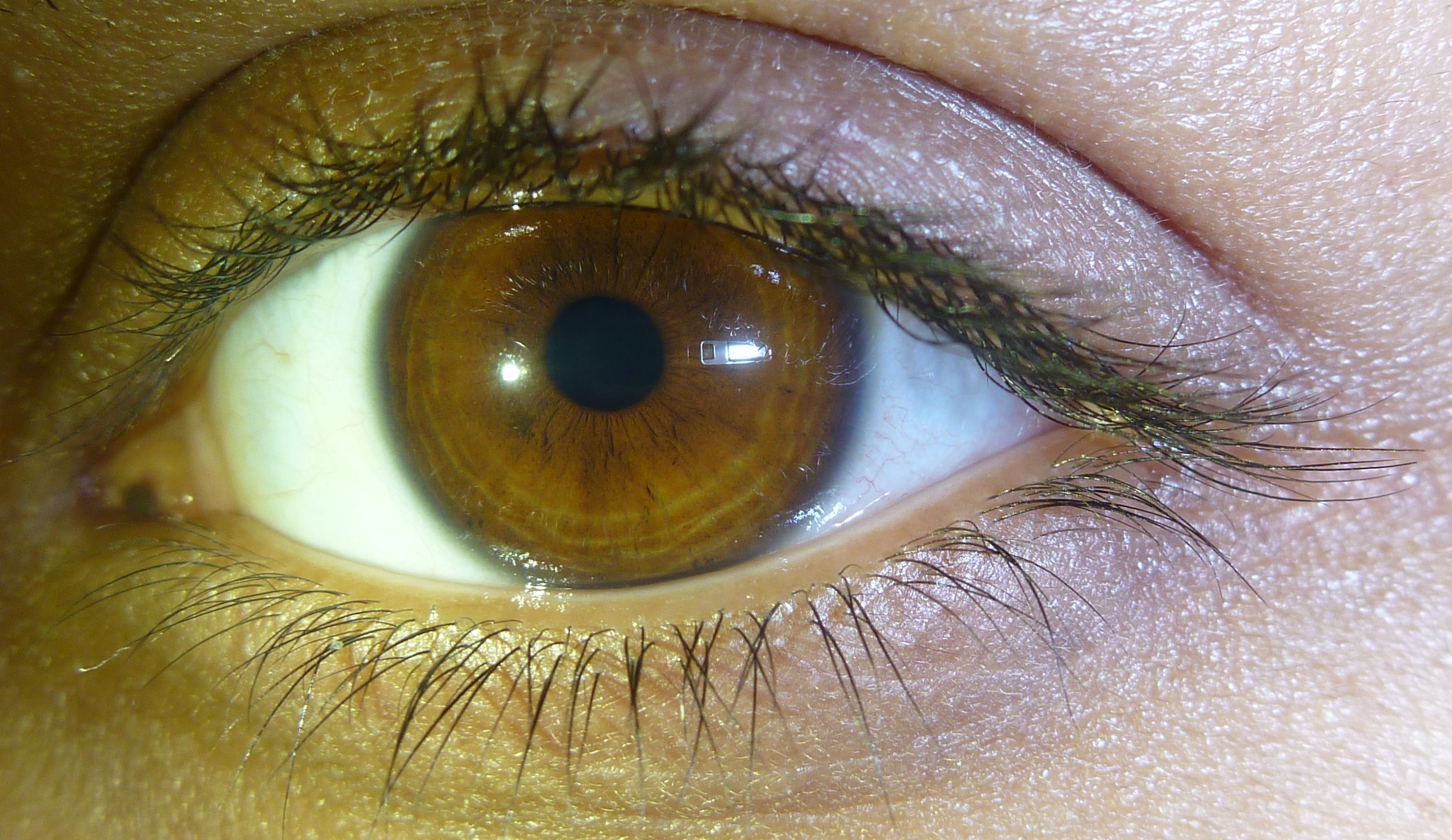 Цвет глаз Hazel Eyes