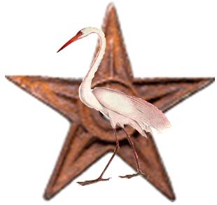 File:Heron Marked Barnstar.JPG