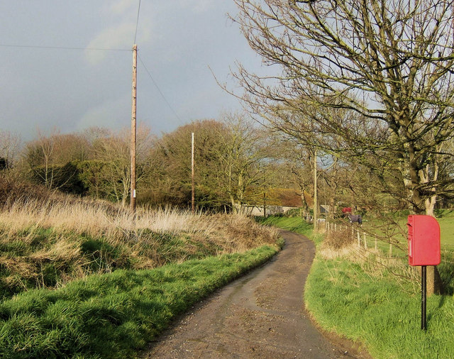 File:Lane at Tarring Neville, East Sussex - geograph.org.uk - 736121.jpg