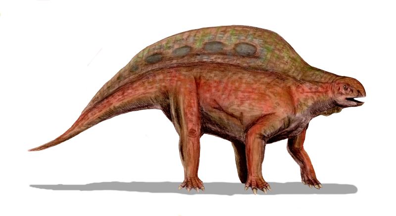 File:Lotosaurus BW.jpg