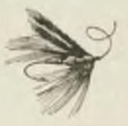 File:Montpetit - Poissons d'eau douce du Canada, 1897 (page 470 crop) 189.jpg