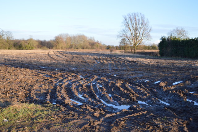 File:Muddy field - geograph.org.uk - 4385923.jpg