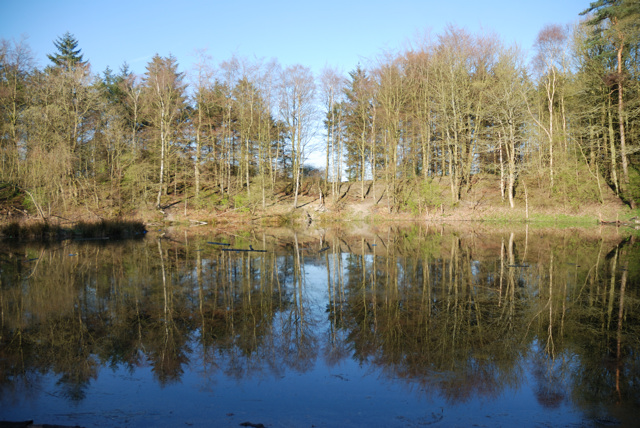 File:Murieston Pond, Campbridge Park, Murieston, Livingston - geograph.org.uk - 399812.jpg