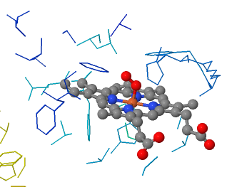 File:OxyHemoglobin Active Site.png - Wikipedia