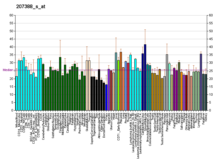 File:PBB GE PTGES 207388 s at fs.png