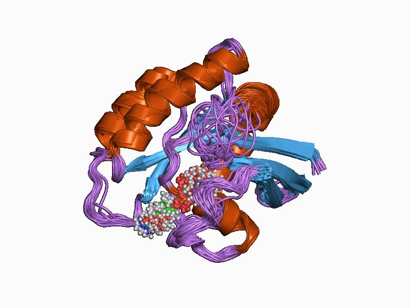 File:PDB 1crp EBI.jpg