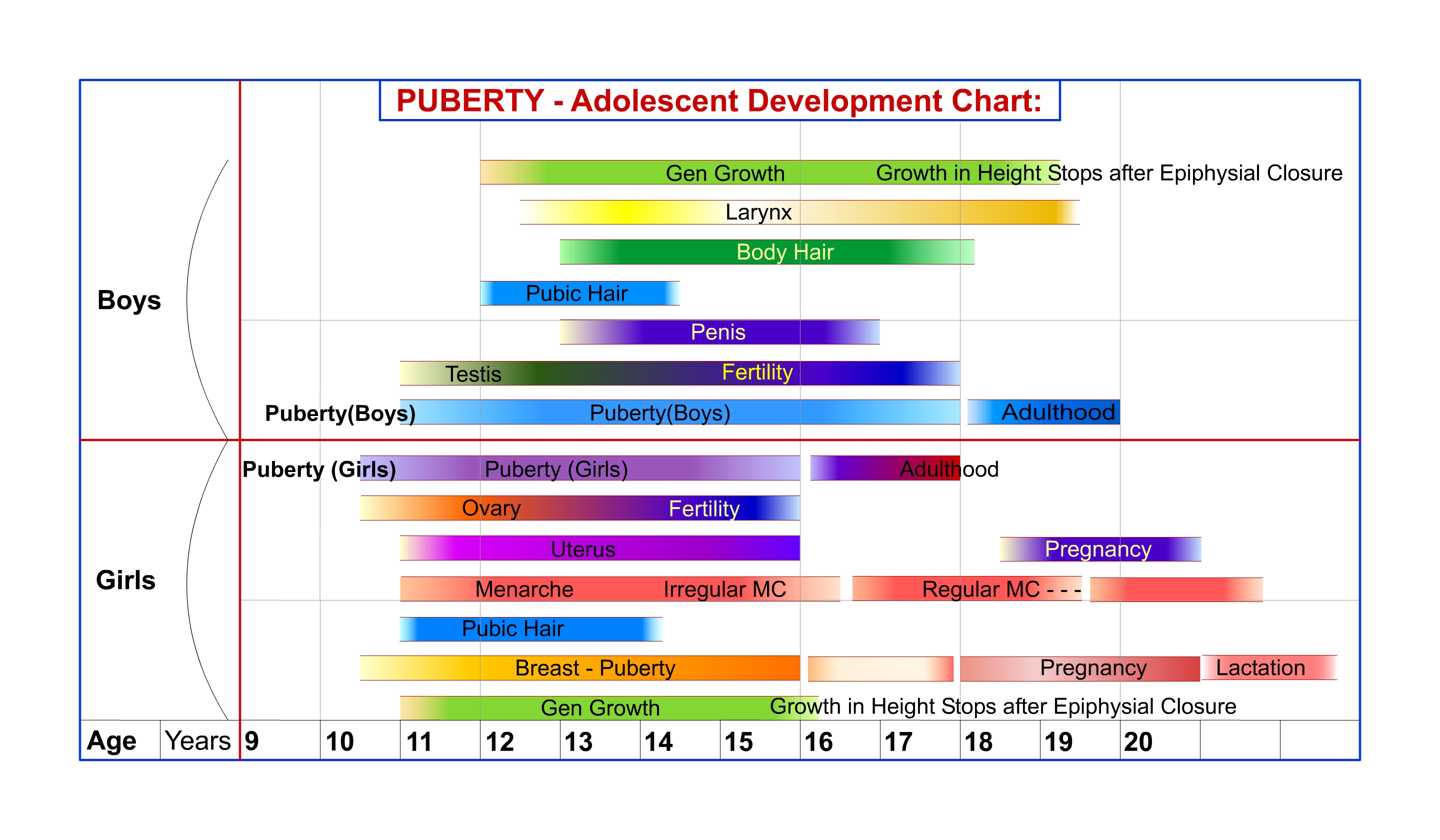 puberty girls stages chart