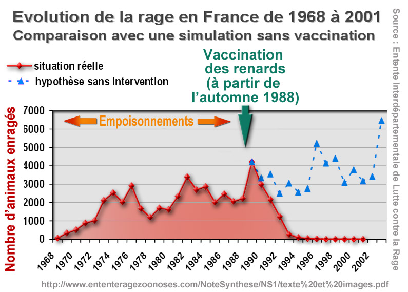 File:Rage renards empoisonnement vaccination 1988.jpg