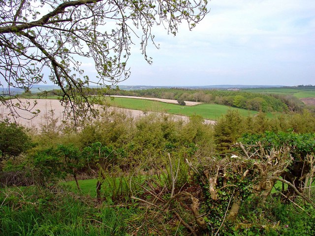 File:Settlement site, Woodside, Llawhaden - geograph.org.uk - 793649.jpg