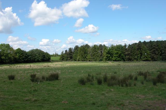 File:Site of Roman Villa in Stanton Park - geograph.org.uk - 15118.jpg