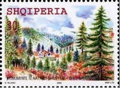 File:Stamp of Albania - 2003 - Colnect 373324 - Fir of Hotova National Park.jpeg