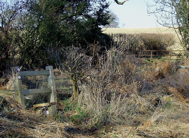 File:Stile on footpath from Seisdon, Staffordshire - geograph.org.uk - 1750608.jpg