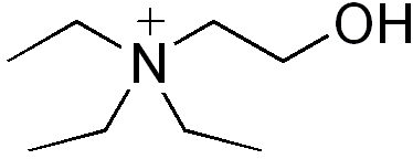 File:Triethylcholine.png