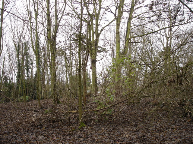 File:Tumulus^ Probably - geograph.org.uk - 1118115.jpg