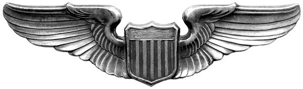 File:USAAF Wings.png