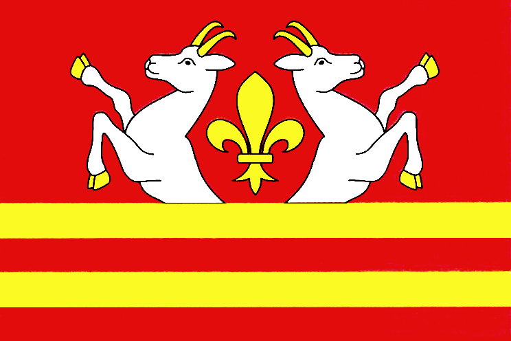 File:Velemyšleves Flag.png