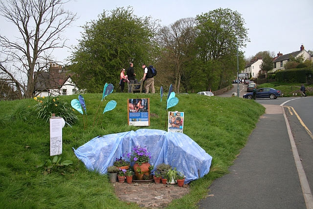 File:Well Dressing 2008, The Wyche Spring - geograph.org.uk - 786971.jpg