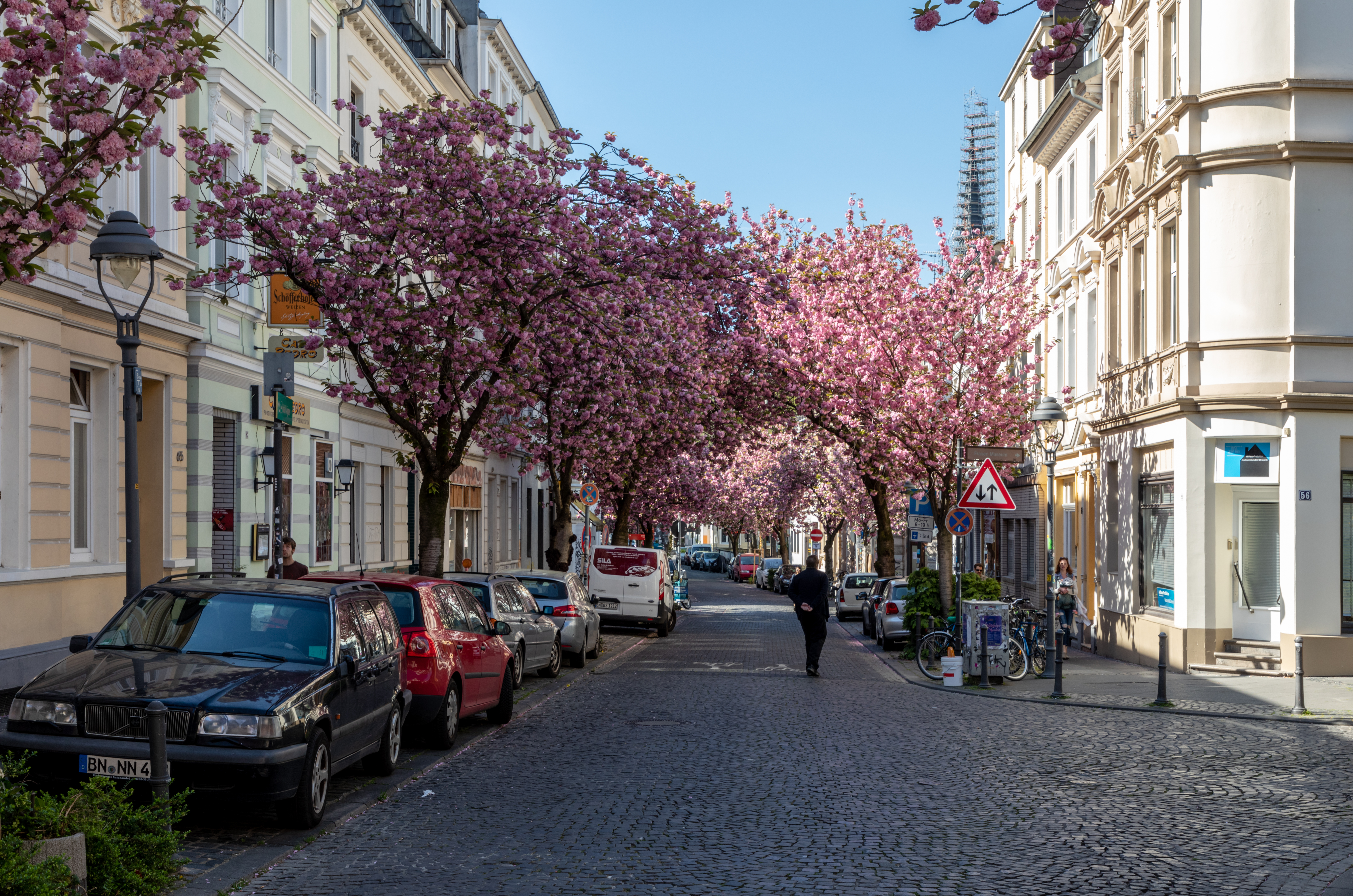 Фото город бонн германия