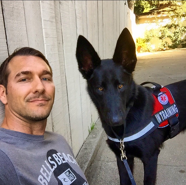 lucky dog service dogs