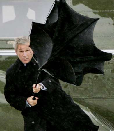 File:Bush and umbrella.jpg