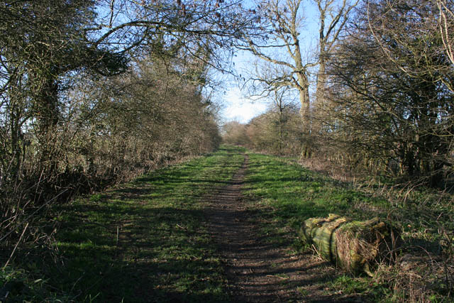 File:Camp Lane off Irnham Road - geograph.org.uk - 328215.jpg