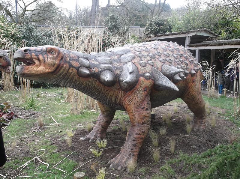 File:Dino - Edmontonia - 1.jpg