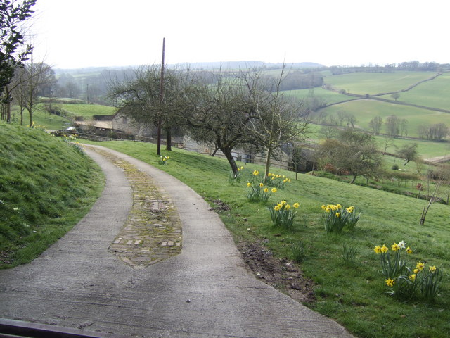 File:Driveway to Wellands - geograph.org.uk - 427157.jpg