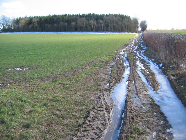 File:East of Burnby - geograph.org.uk - 133590.jpg