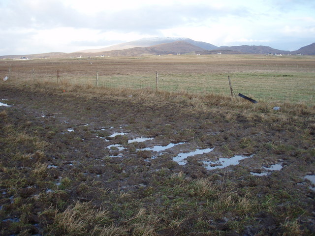 File:Grazing near Aisgernis - geograph.org.uk - 658418.jpg