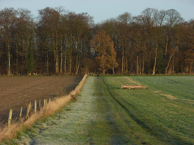 High Wood - geograph.org.uk - 292764