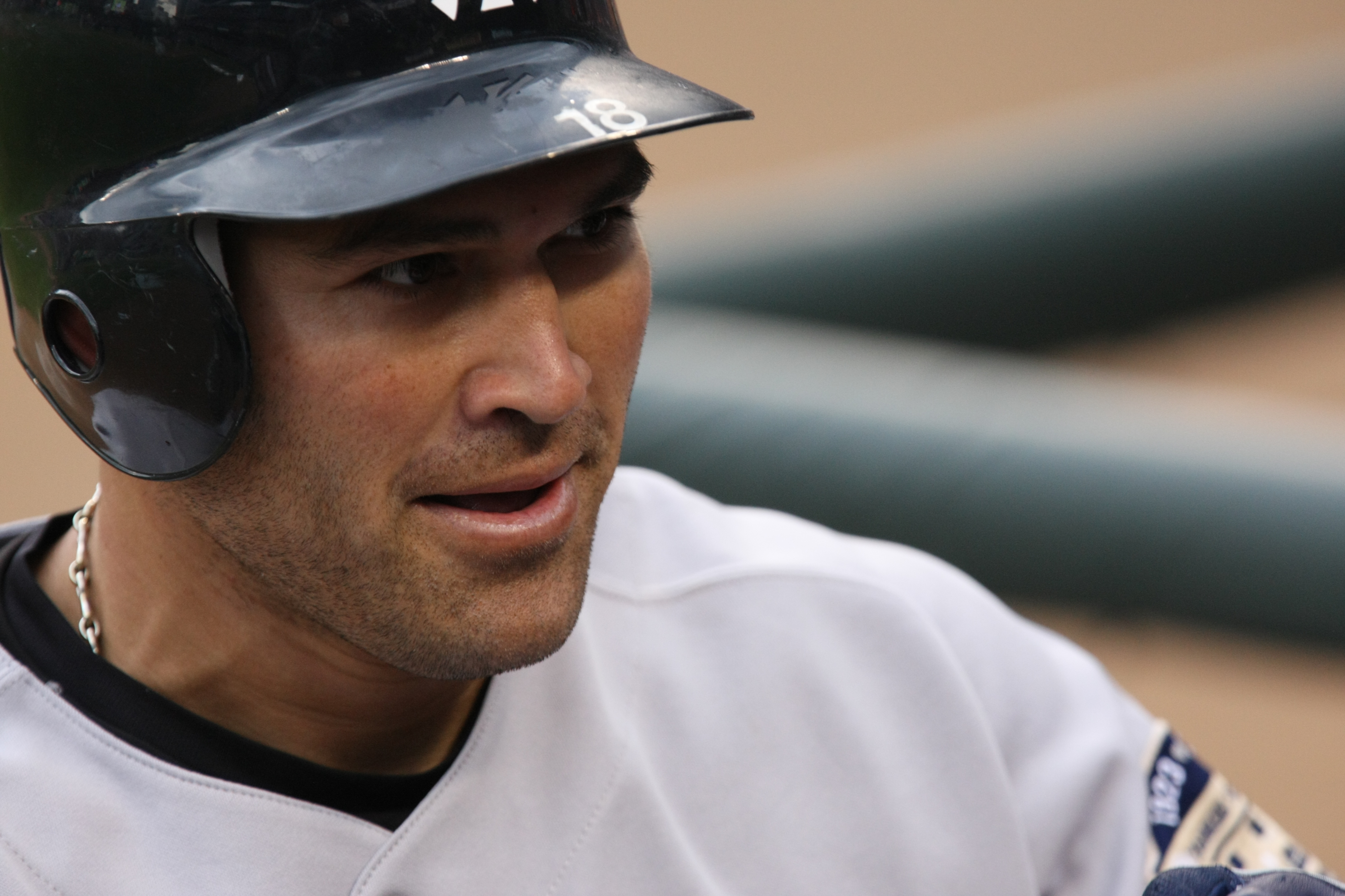 Johnny Damon, Baseball Wiki