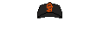 San Francisco Giants