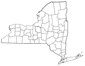 new york outline png