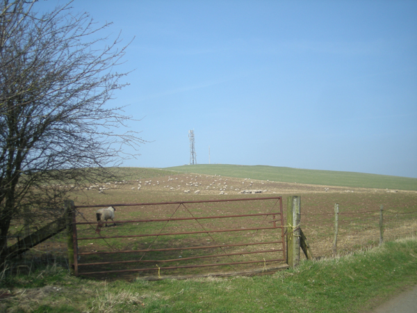 File:Mast on Hazler Hill - geograph.org.uk - 1211768.jpg