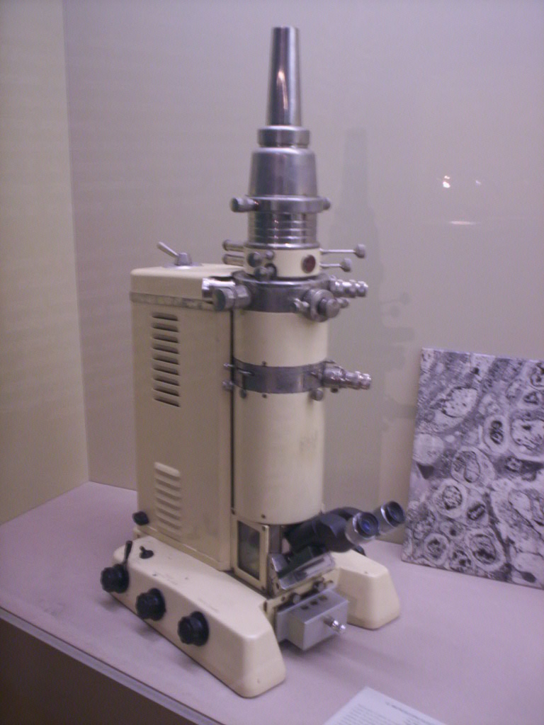 Microscopio - Wikipedia