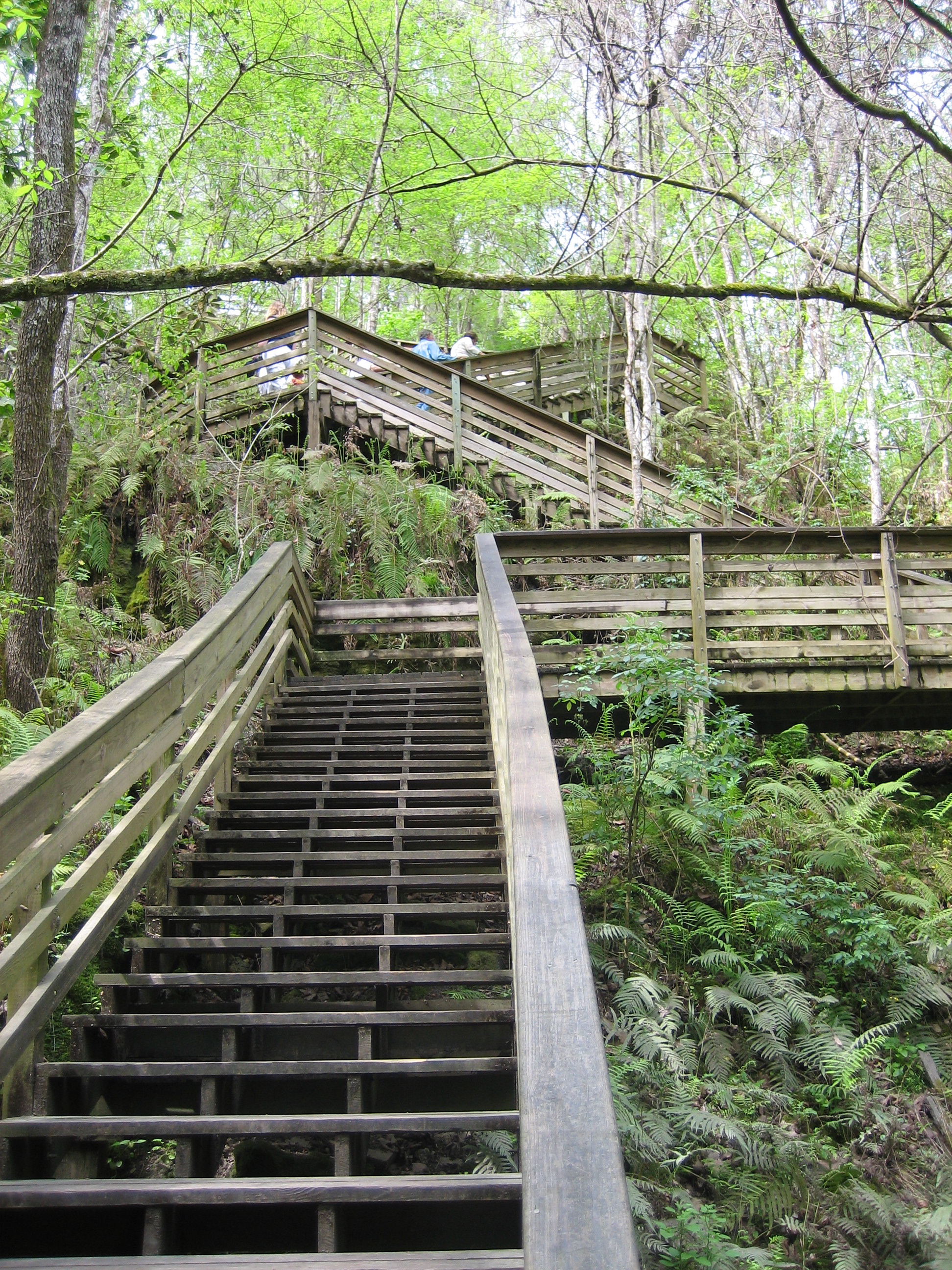 MillhopperStairsMch06.jpg