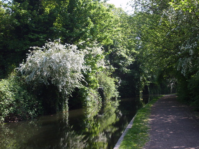 File:Monarch's Towpath - geograph.org.uk - 421891.jpg