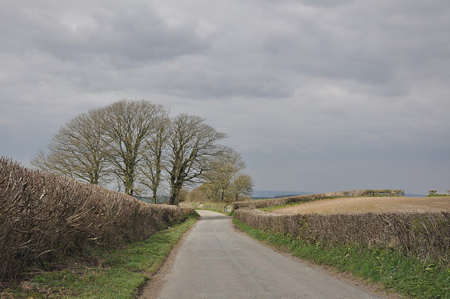 File:Neatly trimmed hedgerows lining the Llandow road - geograph.org.uk - 1230690.jpg