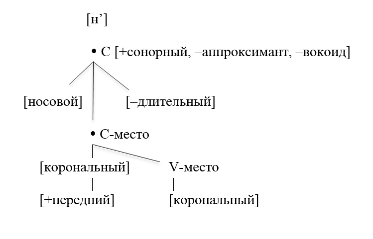 Сонорные носовые