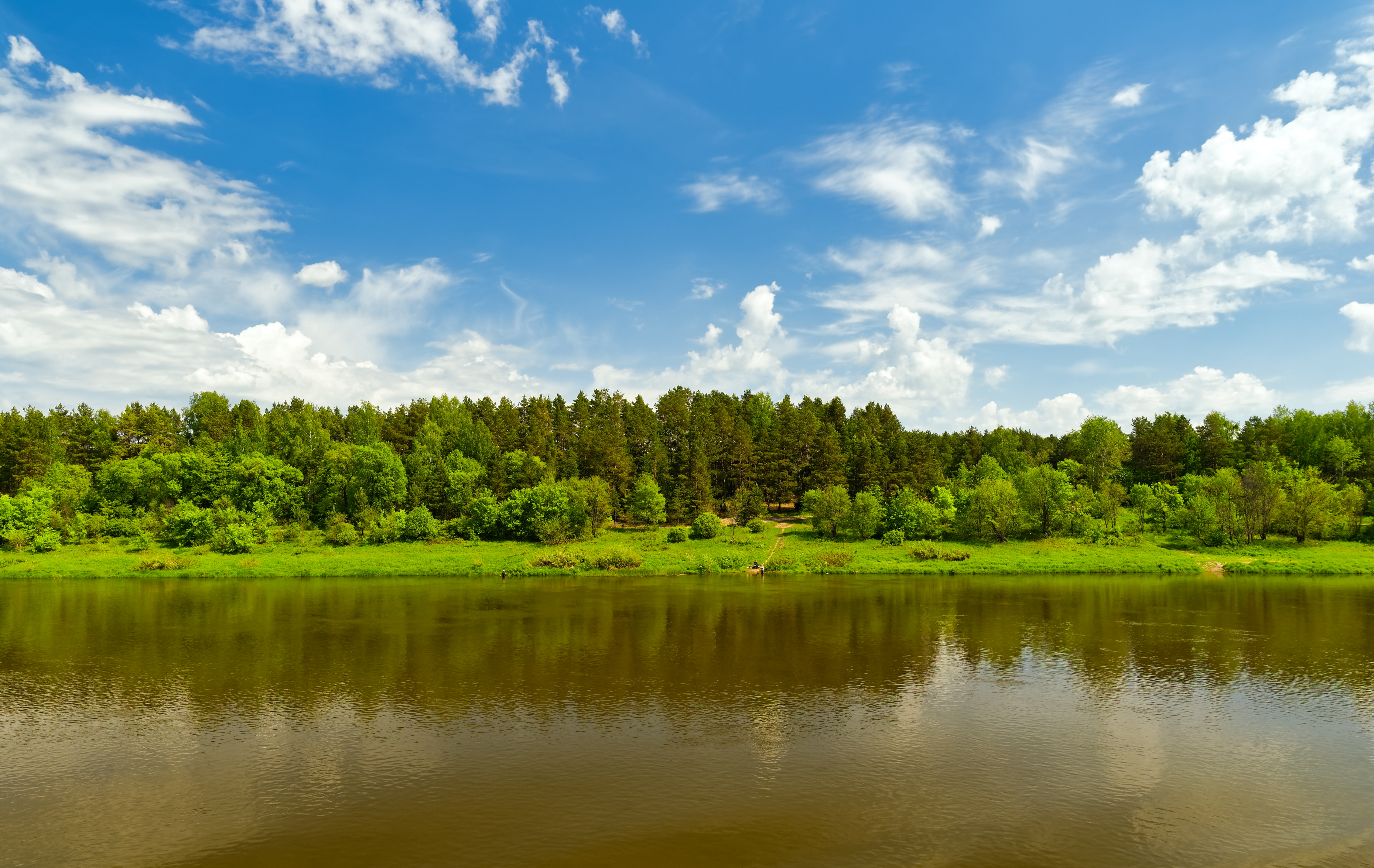 река ока картинки