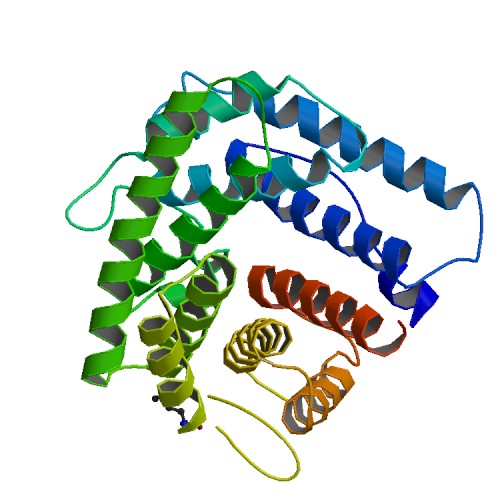 File:PBB Protein C4A image.jpg