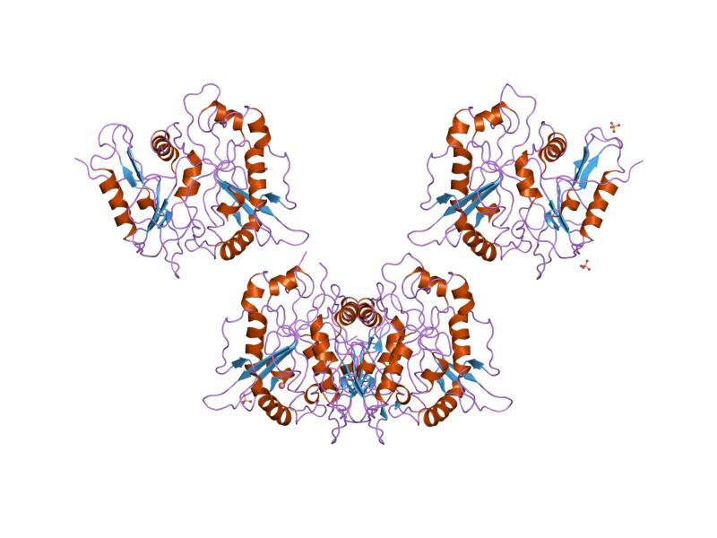 File:PDB 1rxt EBI.jpg